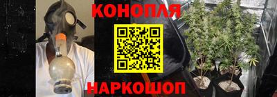 МДПВ Старая Купавна