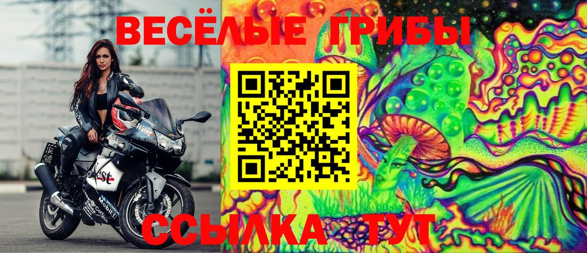 Псилоцибиновые грибы прущие грибы  Вход с VPN  Ростов Великий 